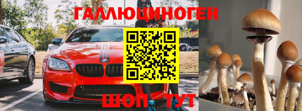 Троицк  Псилоцибиновые грибы мухоморы  Вход с VPN 